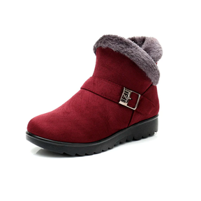 Bota Feminina de Inverno Peluciada - Cloe